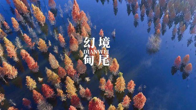 次元喵